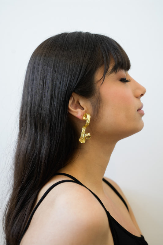 Naisa Earrings